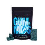 Euphoria Psychedelics Gummy - 6000mg Psilocybin - Blue Raspberry