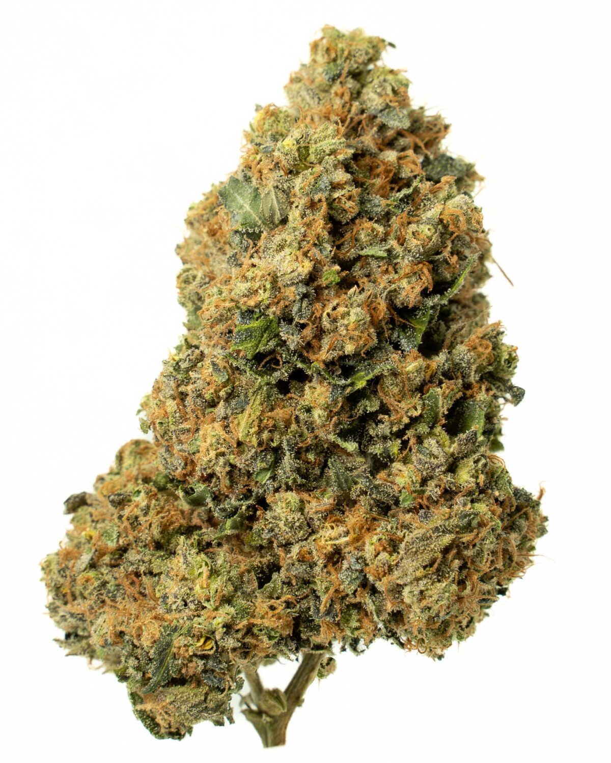 Mafia Funeral - Image 2