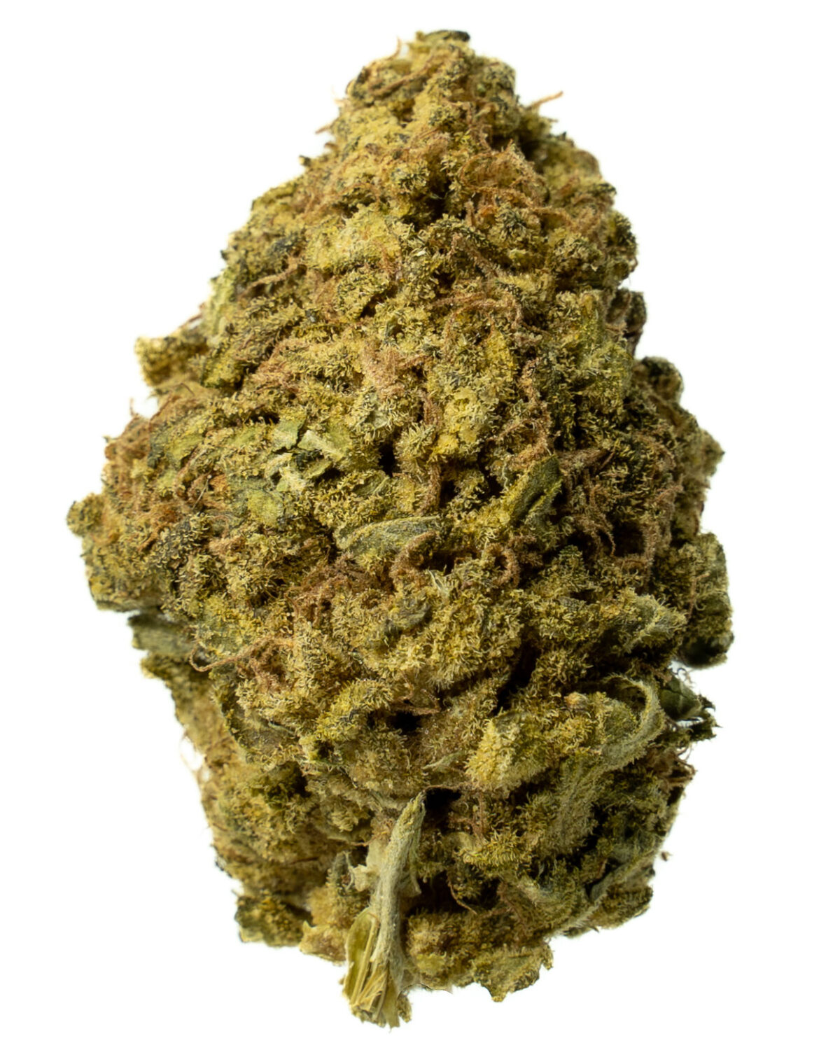 Better Buds Mix & Match AA - 1/2 LB (8 oz) - Image 20
