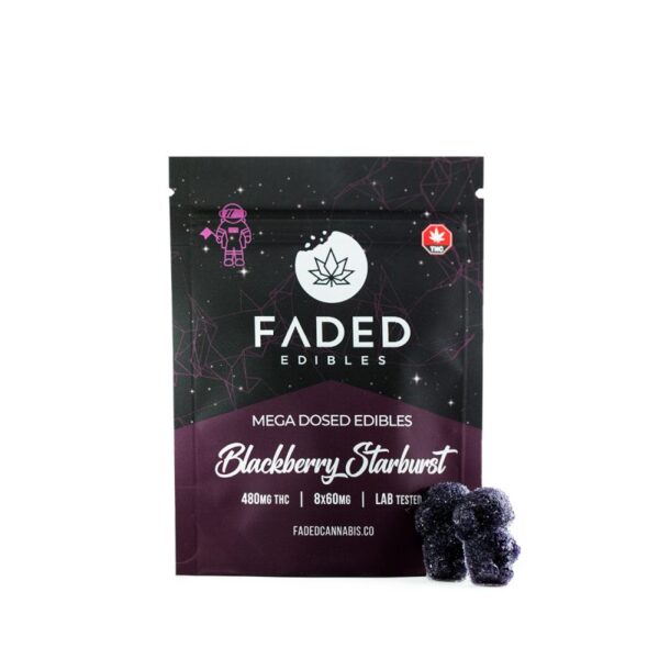 Faded Mega Dosed Astros – 600mg - Blackberry Stardust - 10 x 60mg - Bulk