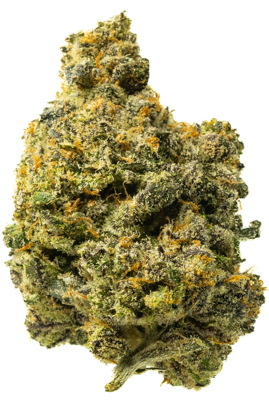 G Poppins Gary Poppins - Image 1