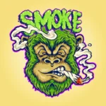 Better Buds - Feel Good Bundle