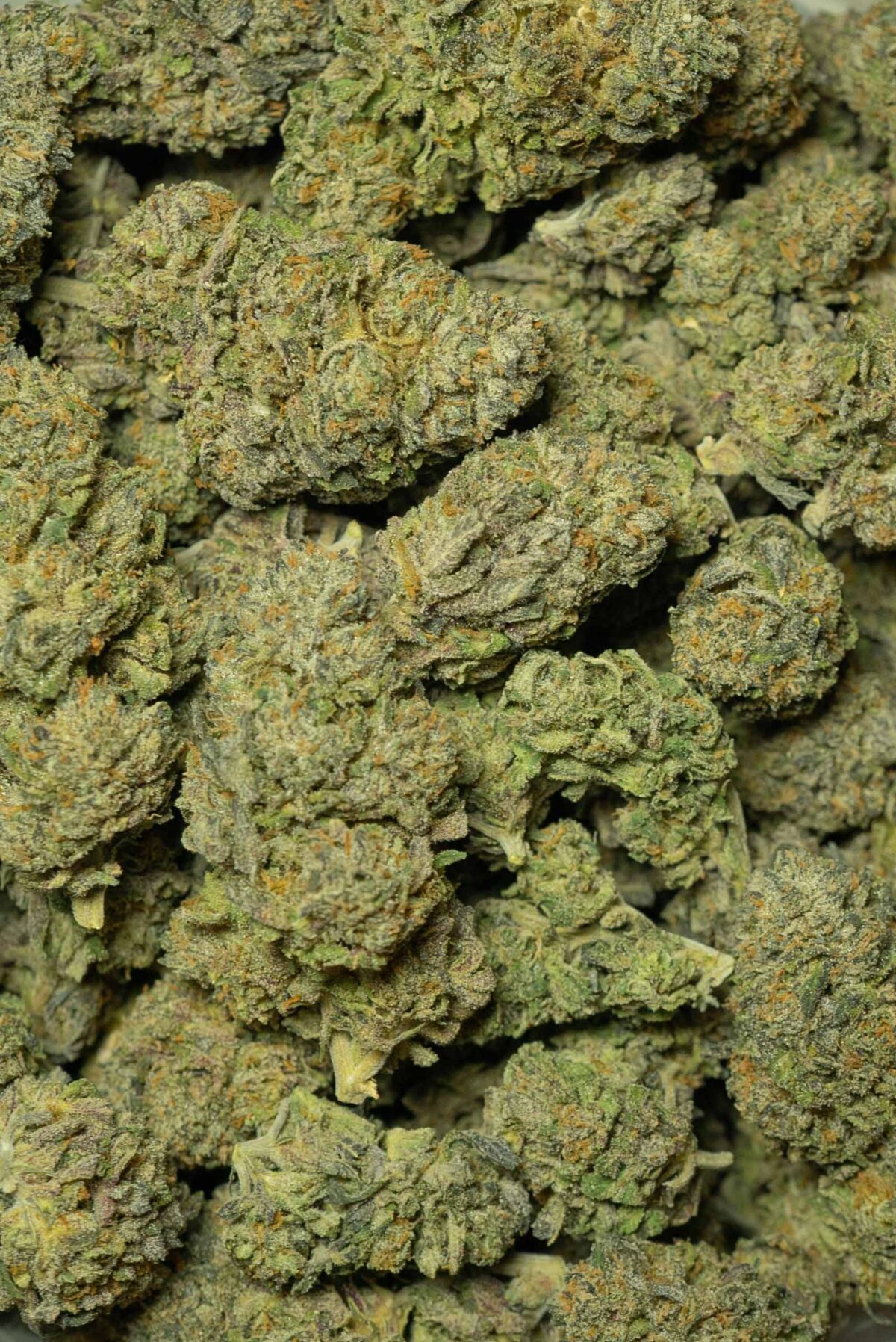 Girl Scout Cookies - Image 4