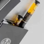 Forever Phoenix – The V Premium Vape Kit – Black