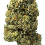 Bubba Kings - Bubba God