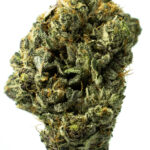 Bubba Kings - El Jefe