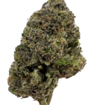 Bubba Kings - Lizard