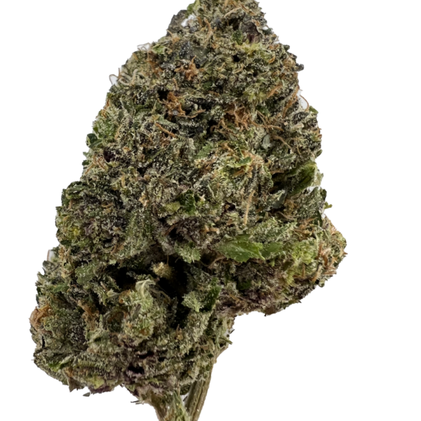 Bubba Kings - Lizard