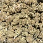 Treasure Island - Bulk