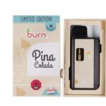 Burn Disposable Vapes - 3g - Pinacolada (Indica)