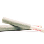 Animal Cookies - 10-Pack Pre-Rolls