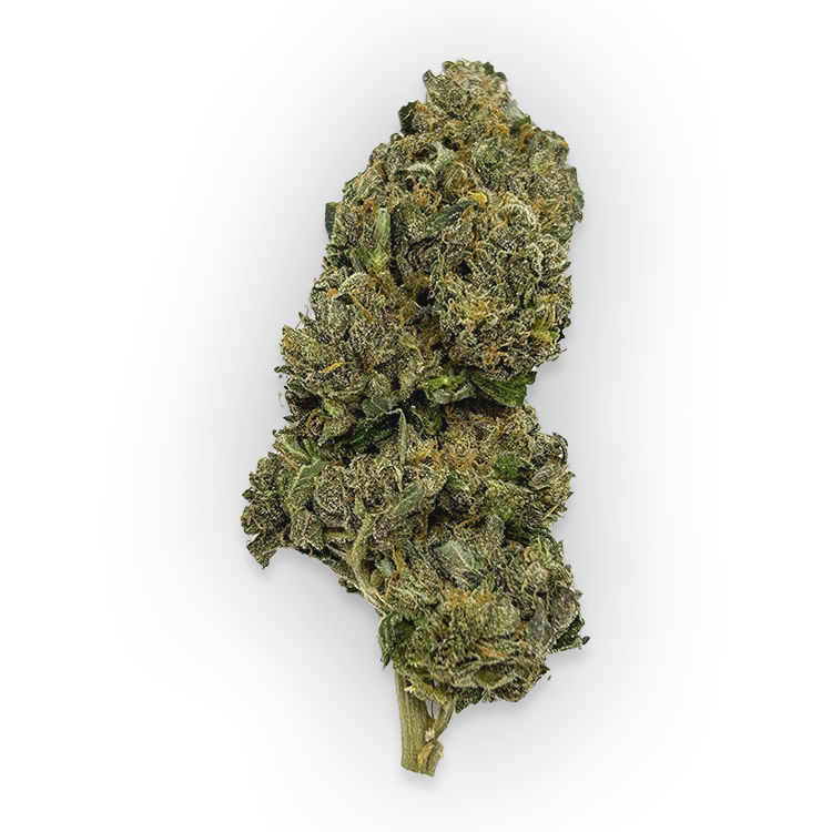 buy tuna kush weed online canada