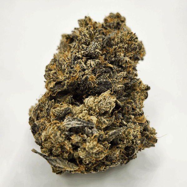Pink Rockstar