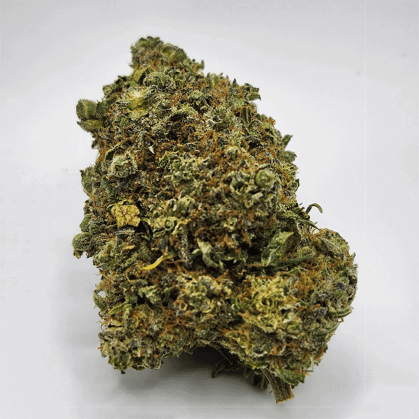 Pink Widow - Bulk