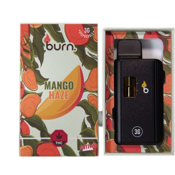 Burn Disposable Vapes - 3g - Mango Haze