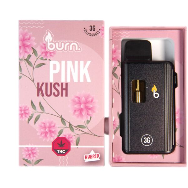 Burn Disposable Vapes - 3g -  Pink Kush