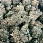 Cherry Haze