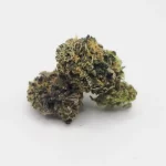 Money Maker - Mediums