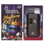Burn 3 Gram Disposable Vape - Blueberry OG