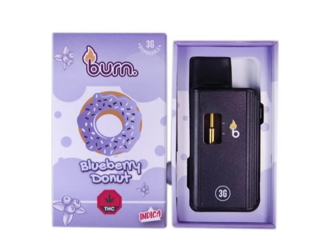 Burn-3-g-blueberry-donut Burn 3 Gram Disposable Vape - Blueberry Donut - Image 1