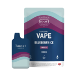Boost Disposable THC Vape Pen - 3g - Blueberry Ice