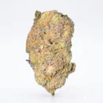 Money Maker - Exotic - Bulk