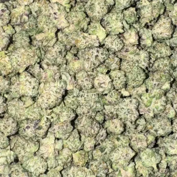 Biscotti - 1 Oz.