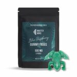 Mastermind Gummy Frogs – 1000mg - Blue Raspberry